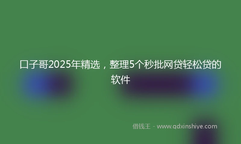 口子哥2025年精选，整理5个秒批网贷轻松贷的软件