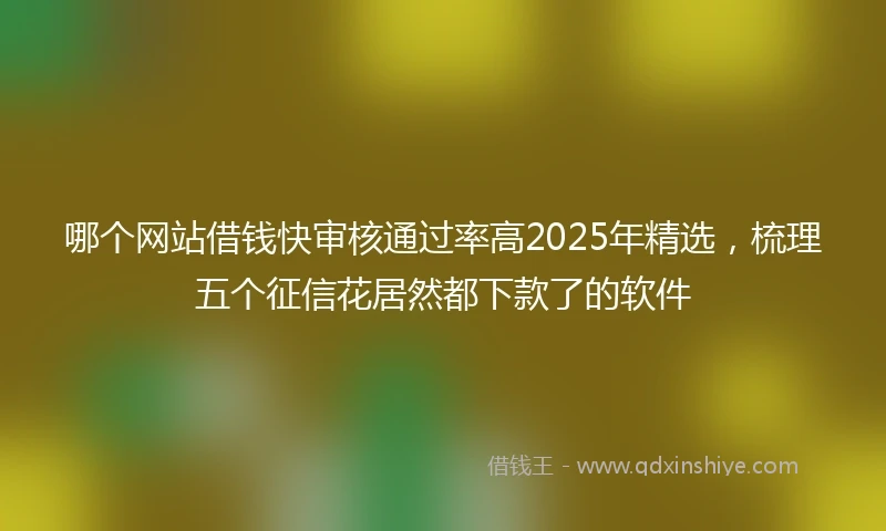 哪个网站借钱快审核通过率高2025年精选，梳理五个征信花居然都下款了的软件