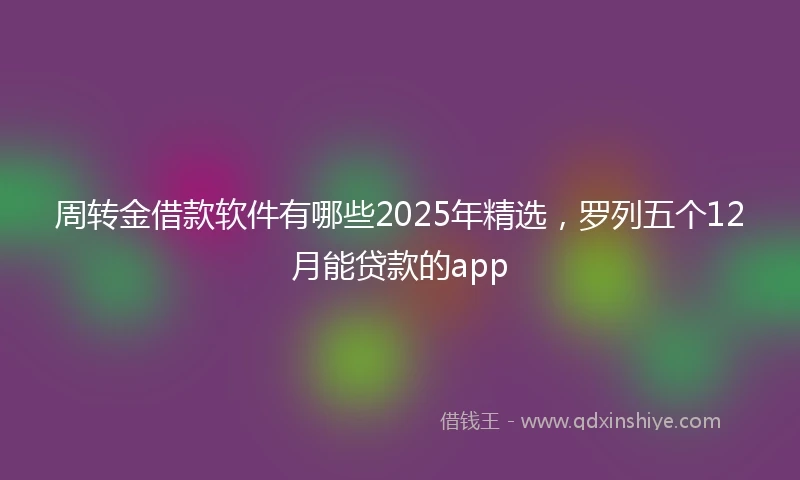 周转金借款软件有哪些2025年精选，罗列五个12月能贷款的app