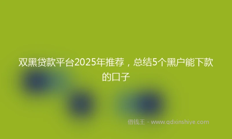 双黑贷款平台2025年推荐，总结5个黑户能下款的口子