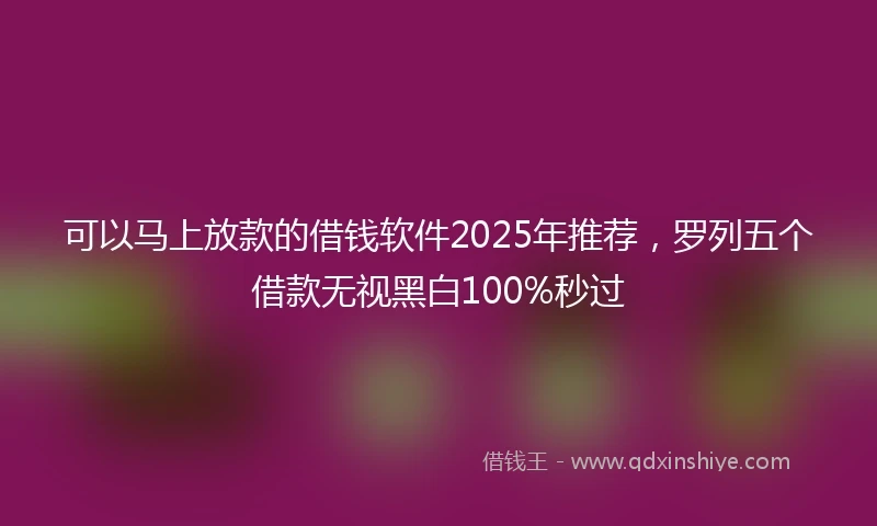 可以马上放款的借钱软件2025年推荐，罗列五个借款无视黑白100%秒过