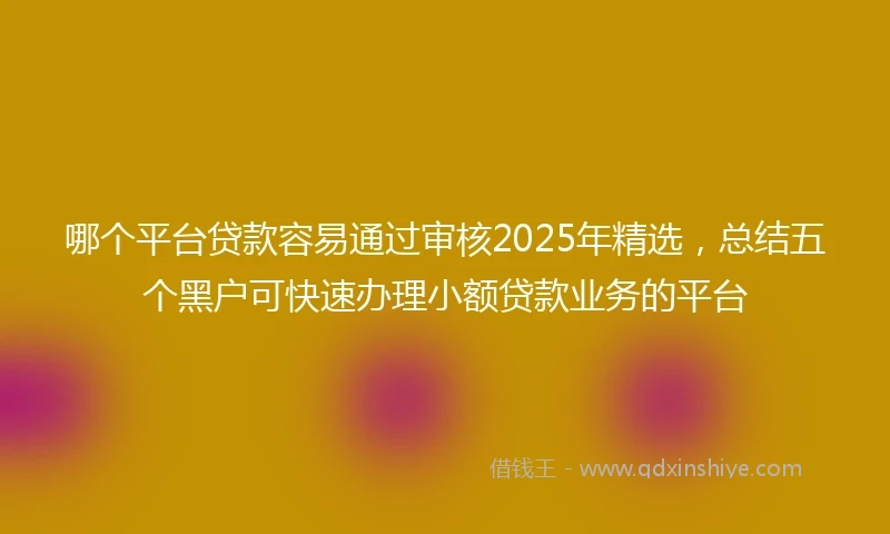 哪个平台贷款容易通过审核2025年精选，总结五个黑户可快速办理小额贷款业务的平台
