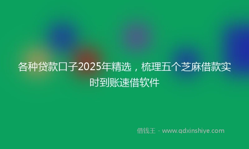 各种贷款口子2025年精选，梳理五个芝麻借款实时到账速借软件