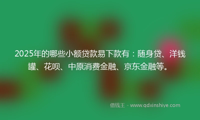 2025年的哪些小额贷款易下款有：随身贷、洋钱罐、花呗、中原消费金融、京东金融等。