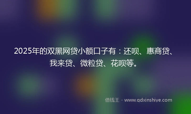 2025年的双黑网贷小额口子有：还呗、惠商贷、我来贷、微粒贷、花呗等。