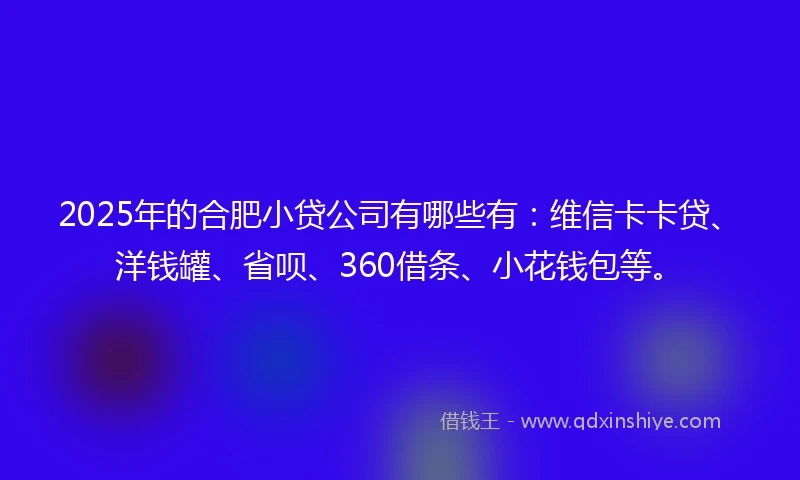 2025年的合肥小贷公司有哪些有：维信卡卡贷、洋钱罐、省呗、360借条、小花钱包等。