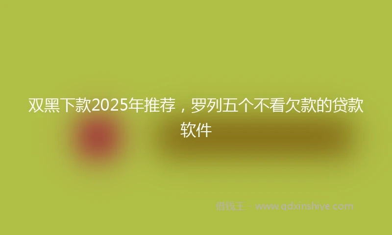 双黑下款2025年推荐，罗列五个不看欠款的贷款软件