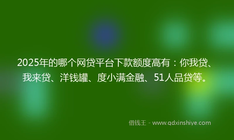 2025年的哪个网贷平台下款额度高有：你我贷、我来贷、洋钱罐、度小满金融、51人品贷等。