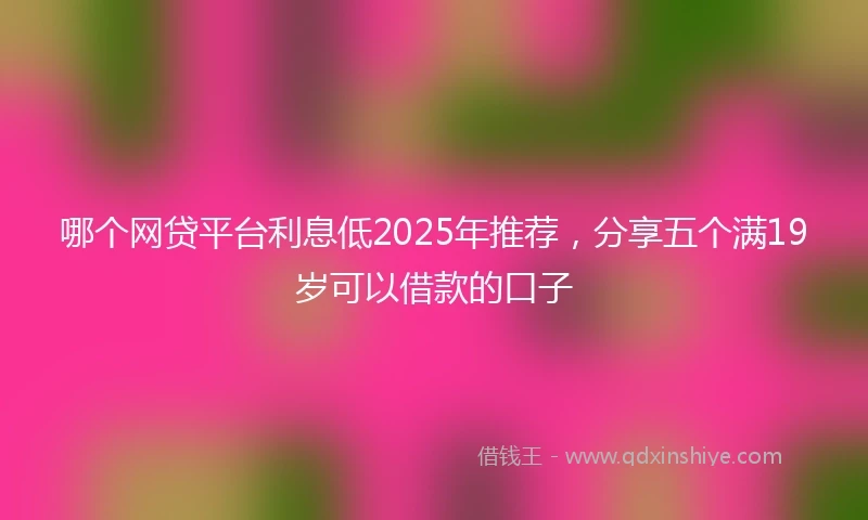 哪个网贷平台利息低2025年推荐，分享五个满19岁可以借款的口子