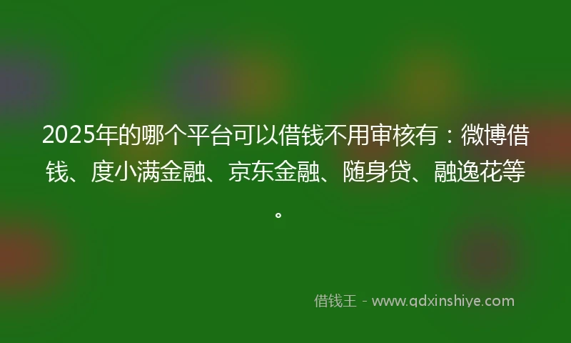 2025年的哪个平台可以借钱不用审核有：微博借钱、度小满金融、京东金融、随身贷、融逸花等。