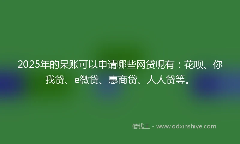 2025年的呆账可以申请哪些网贷呢有：花呗、你我贷、e微贷、惠商贷、人人贷等。