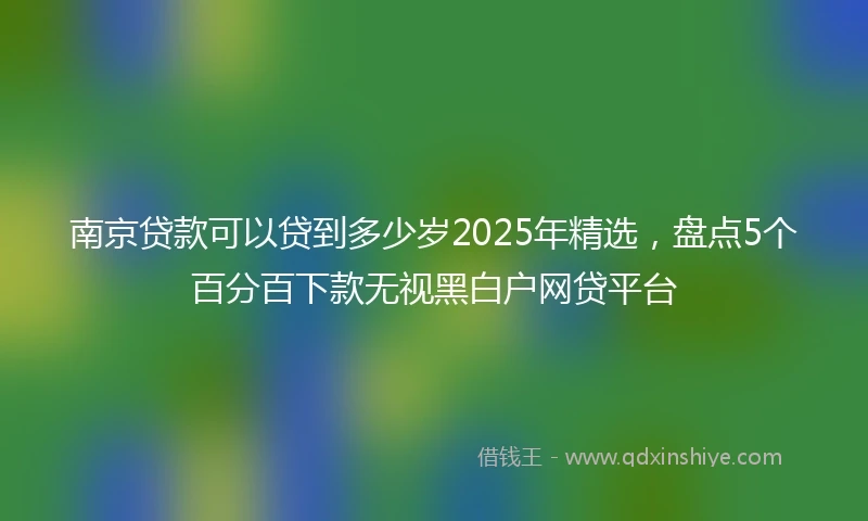 南京贷款可以贷到多少岁2025年精选，盘点5个百分百下款无视黑白户网贷平台