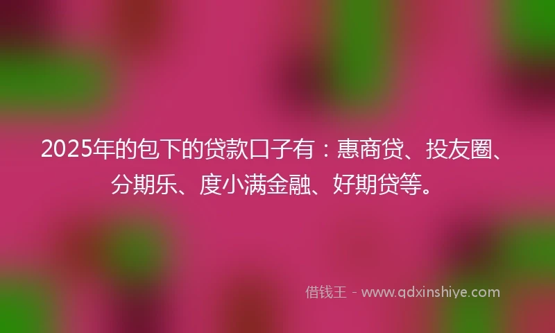 2025年的包下的贷款口子有：惠商贷、投友圈、分期乐、度小满金融、好期贷等。