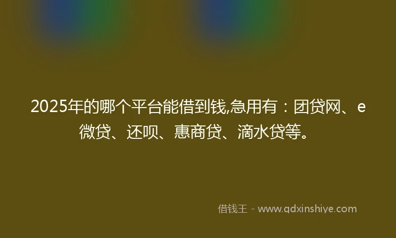 2025年的哪个平台能借到钱,急用有：团贷网、e微贷、还呗、惠商贷、滴水贷等。