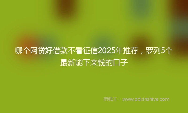 哪个网贷好借款不看征信2025年推荐，罗列5个最新能下来钱的口子