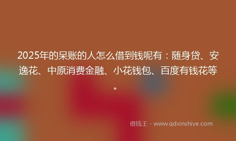 2025年的呆账的人怎么借到钱呢有：随身贷、安逸花、中原消费金融、小花钱包、百度有钱花等。