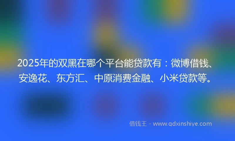 2025年的双黑在哪个平台能贷款有：微博借钱、安逸花、东方汇、中原消费金融、小米贷款等。