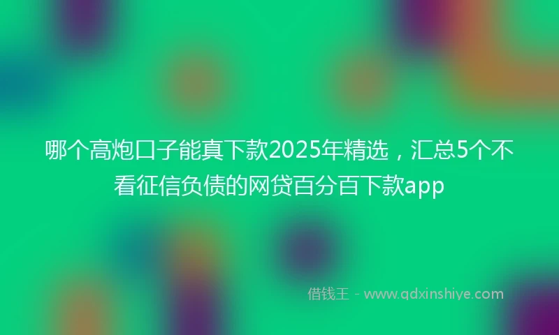 哪个高炮口子能真下款2025年精选，汇总5个不看征信负债的网贷百分百下款app