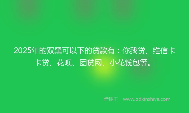 2025年的双黑可以下的贷款有：你我贷、维信卡卡贷、花呗、团贷网、小花钱包等。