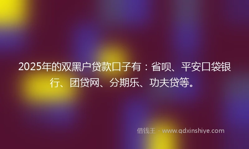 2025年的双黑户贷款口子有：省呗、平安口袋银行、团贷网、分期乐、功夫贷等。