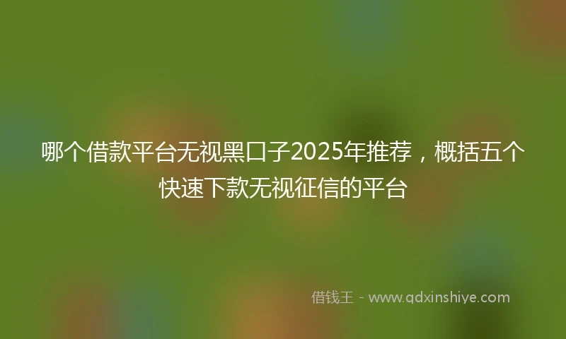 哪个借款平台无视黑口子2025年推荐，概括五个快速下款无视征信的平台