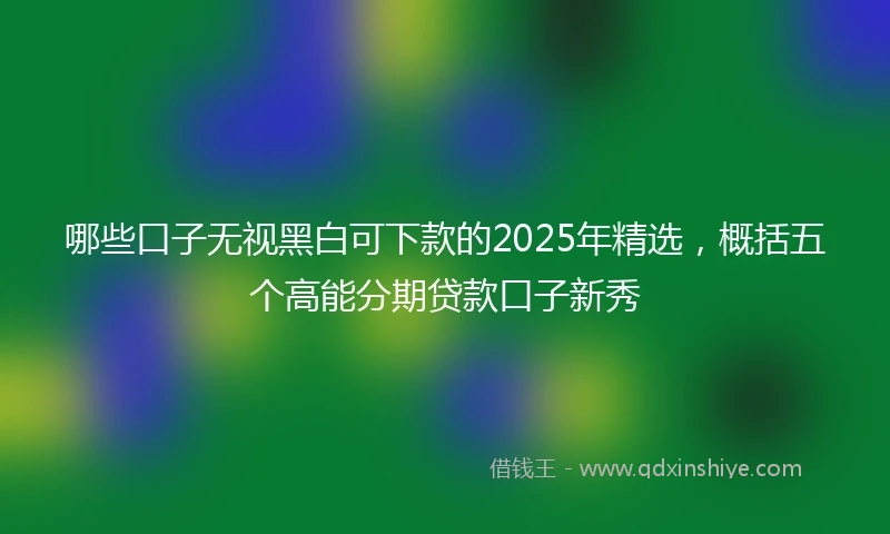 哪些口子无视黑白可下款的2025年精选，概括五个高能分期贷款口子新秀
