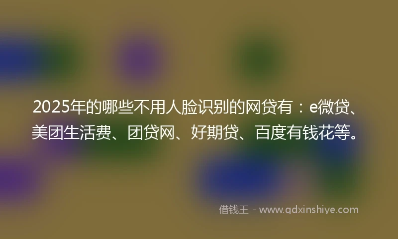 2025年的哪些不用人脸识别的网贷有：e微贷、美团生活费、团贷网、好期贷、百度有钱花等。