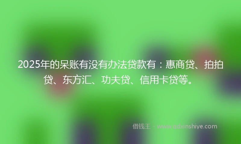 2025年的呆账有没有办法贷款有：惠商贷、拍拍贷、东方汇、功夫贷、信用卡贷等。