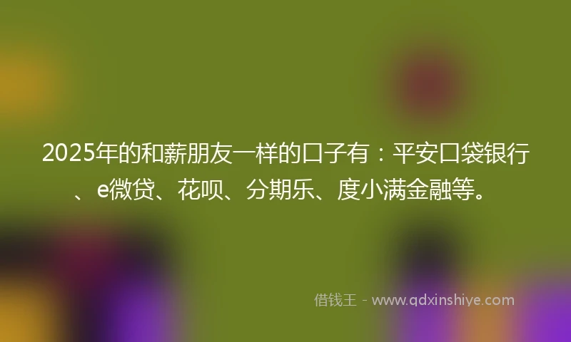 2025年的和薪朋友一样的口子有：平安口袋银行、e微贷、花呗、分期乐、度小满金融等。