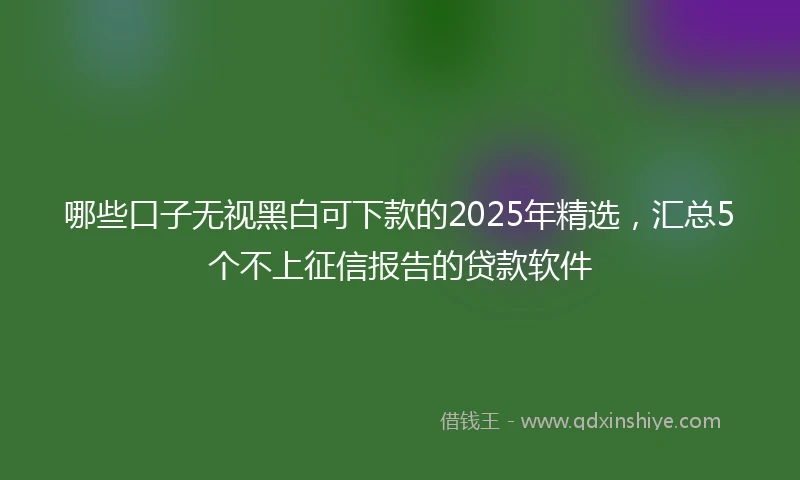 哪些口子无视黑白可下款的2025年精选，汇总5个不上征信报告的贷款软件