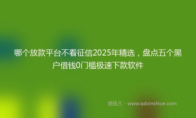 哪个放款平台不看征信2025年精选，盘点五个黑户借钱0门槛极速下款软件