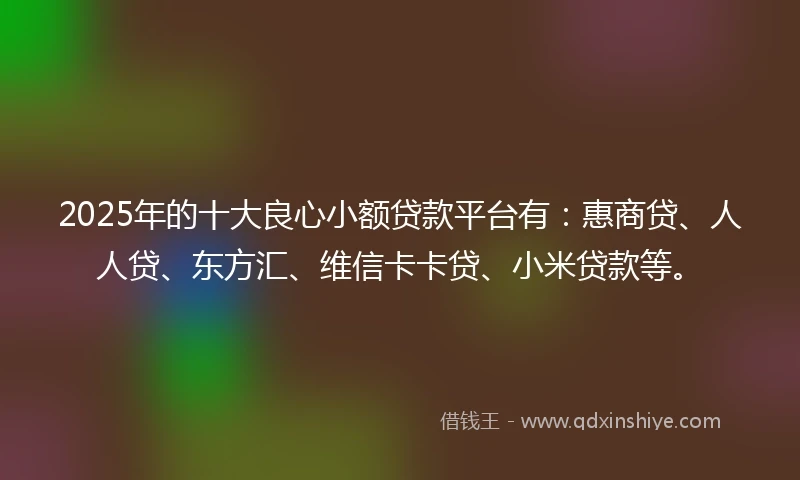 2025年的十大良心小额贷款平台有：惠商贷、人人贷、东方汇、维信卡卡贷、小米贷款等。