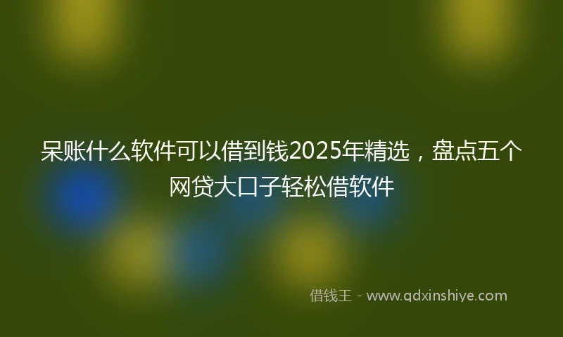 呆账什么软件可以借到钱2025年精选，盘点五个网贷大口子轻松借软件
