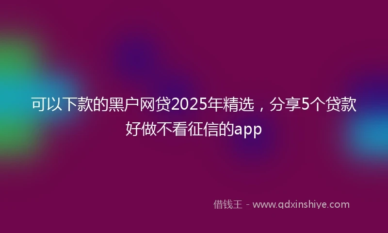 可以下款的黑户网贷2025年精选，分享5个贷款好做不看征信的app