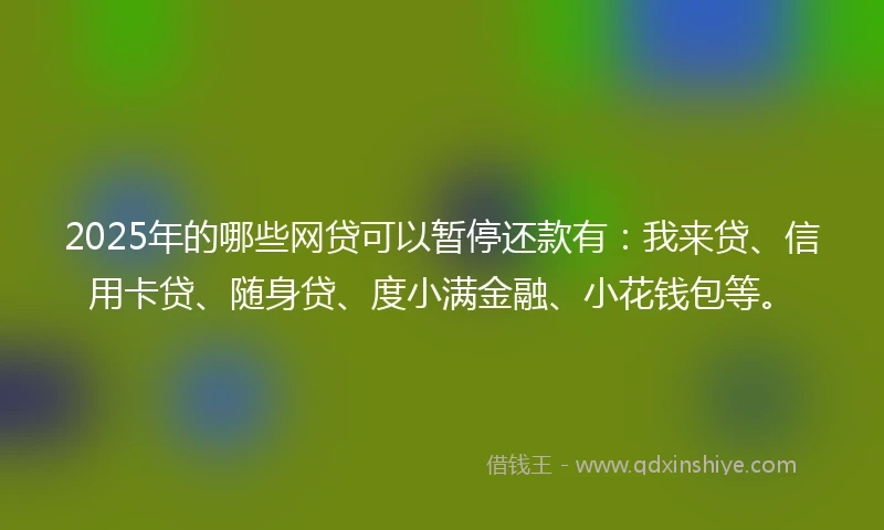 2025年的哪些网贷可以暂停还款有：我来贷、信用卡贷、随身贷、度小满金融、小花钱包等。