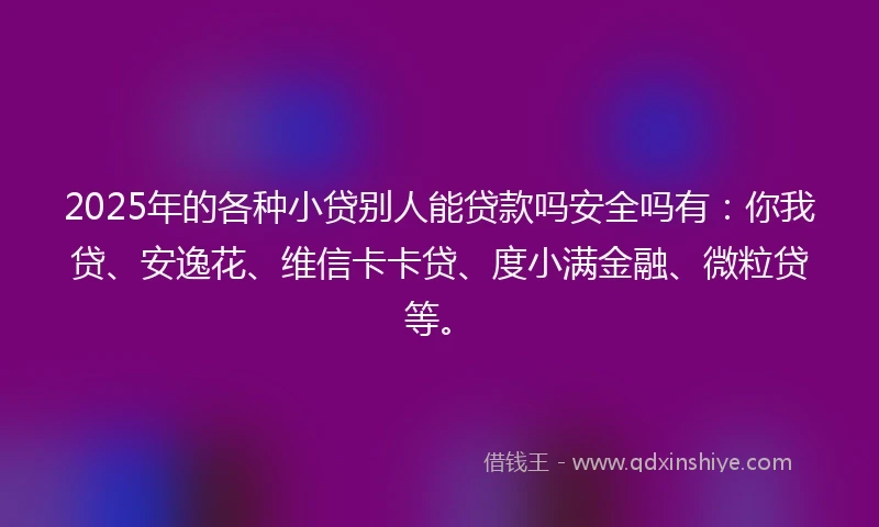 2025年的各种小贷别人能贷款吗安全吗有：你我贷、安逸花、维信卡卡贷、度小满金融、微粒贷等。