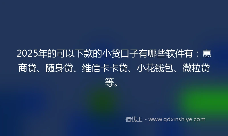 2025年的可以下款的小贷口子有哪些软件有：惠商贷、随身贷、维信卡卡贷、小花钱包、微粒贷等。