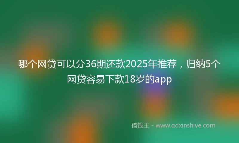 哪个网贷可以分36期还款2025年推荐，归纳5个网贷容易下款18岁的app