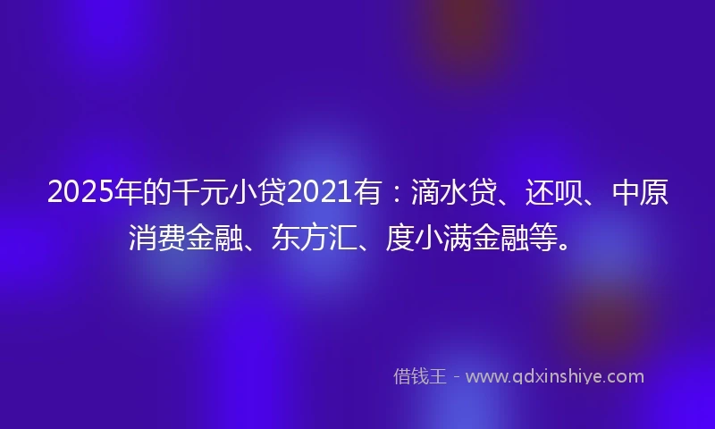 2025年的千元小贷2021有：滴水贷、还呗、中原消费金融、东方汇、度小满金融等。