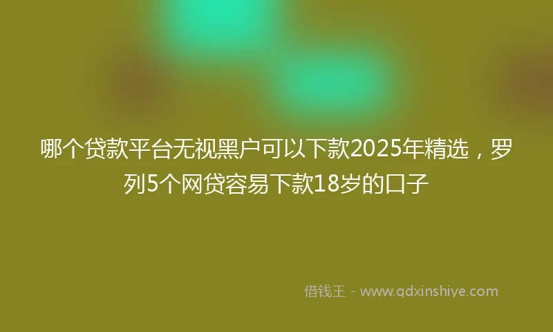 哪个贷款平台无视黑户可以下款2025年精选,罗列5个网贷容易下款18岁的口子
