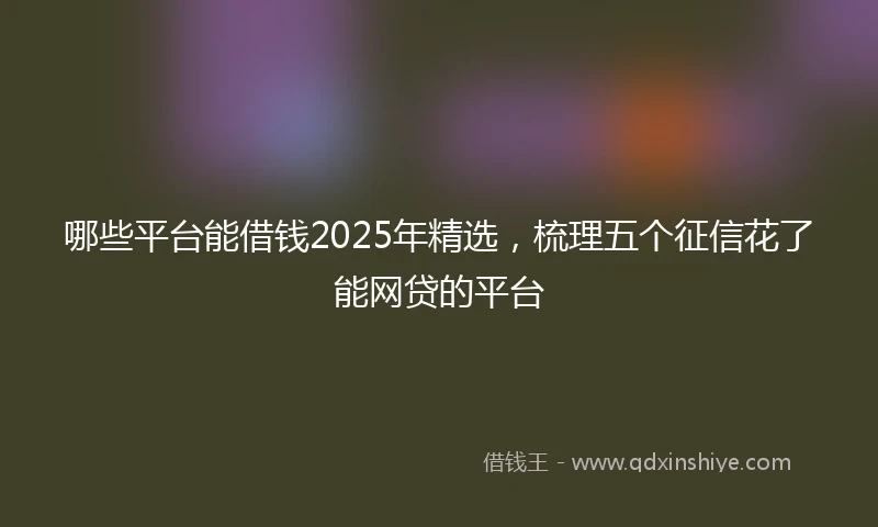 哪些平台能借钱2025年精选，梳理五个征信花了能网贷的平台