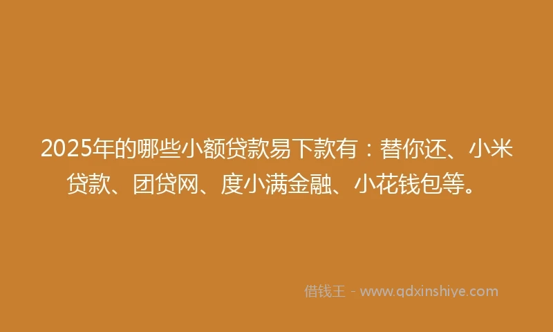 2025年的哪些小额贷款易下款有：替你还、小米贷款、团贷网、度小满金融、小花钱包等。