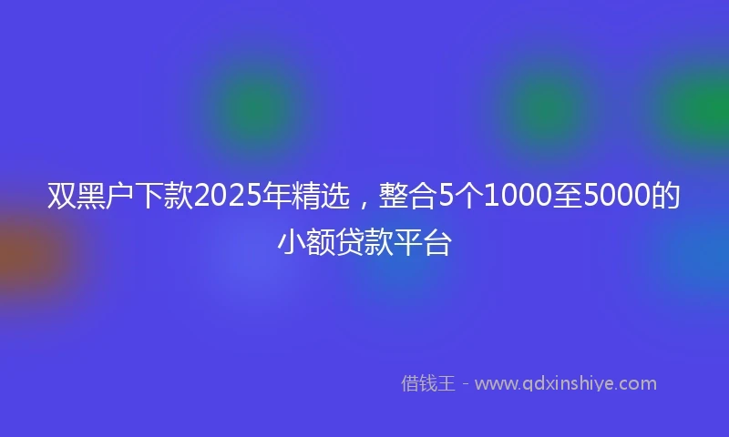 双黑户下款2025年精选，整合5个1000至5000的小额贷款平台