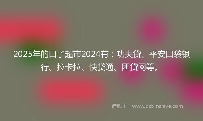 2025年的口子超市2024有：功夫贷、平安口袋银行、拉卡拉、快贷通、团贷网等。