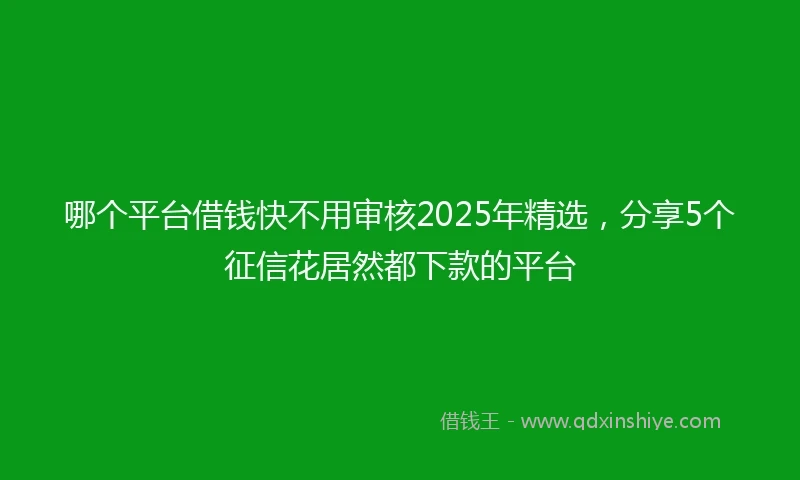 哪个平台借钱快不用审核2025年精选，分享5个征信花居然都下款的平台