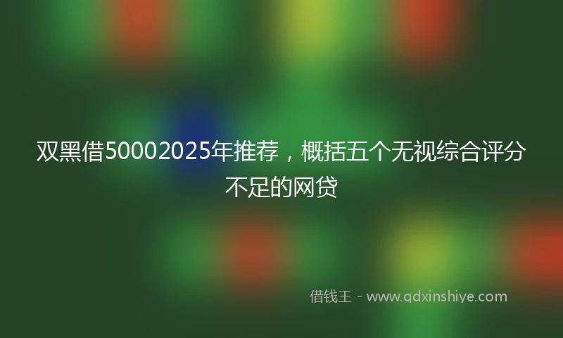 双黑借50002025年推荐，概括五个无视综合评分不足的网贷