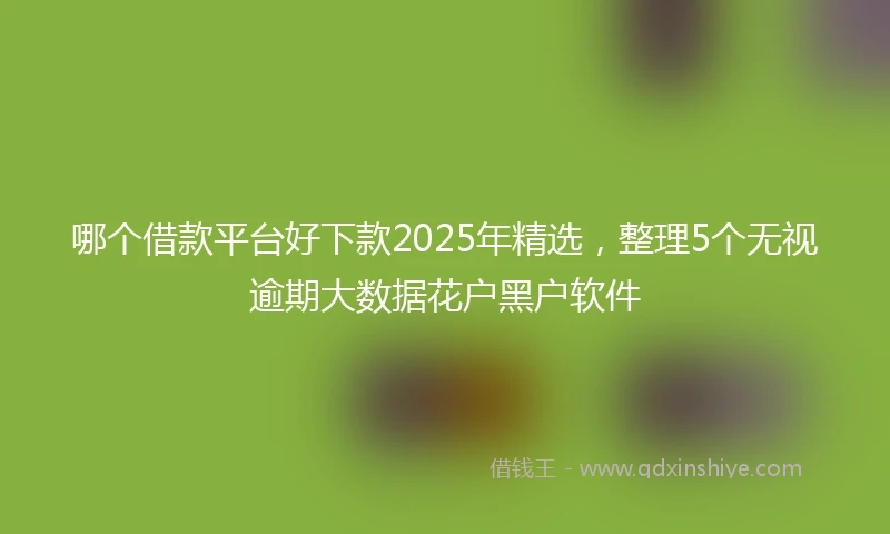 哪个借款平台好下款2025年精选，整理5个无视逾期大数据花户黑户软件