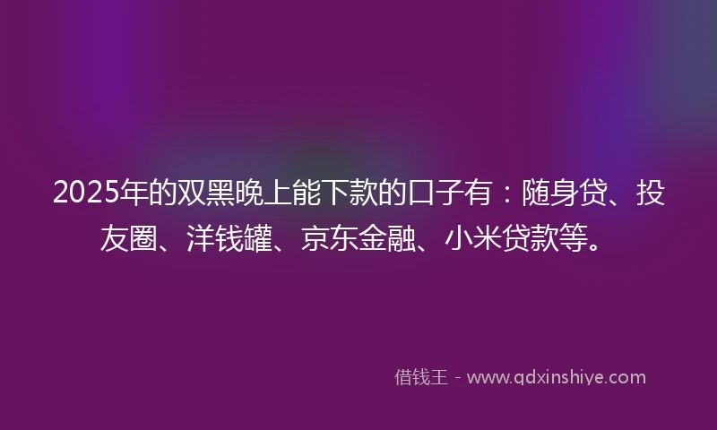 2025年的双黑晚上能下款的口子有：随身贷、投友圈、洋钱罐、京东金融、小米贷款等。