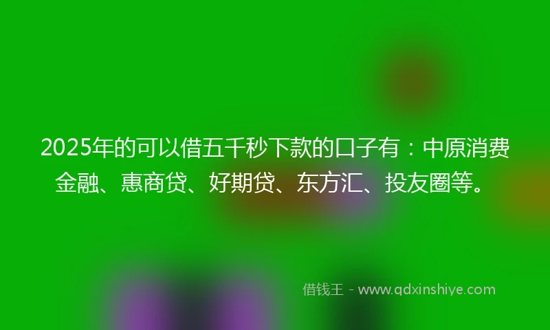 2025年的可以借五千秒下款的口子有：中原消费金融、惠商贷、好期贷、东方汇、投友圈等。