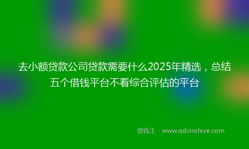 去小额贷款公司贷款需要什么2025年精选，总结五个借钱平台不看综合评估的平台